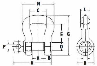 screw Type Alloy Web & Roundsling Shackle